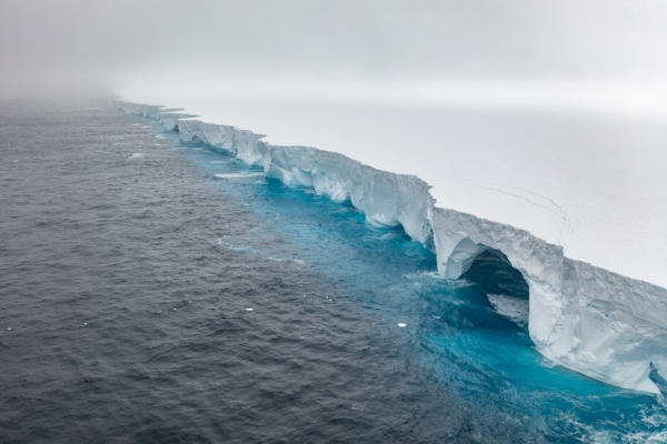 After months of wandering in circles, the world’s largest iceberg begins to drift north